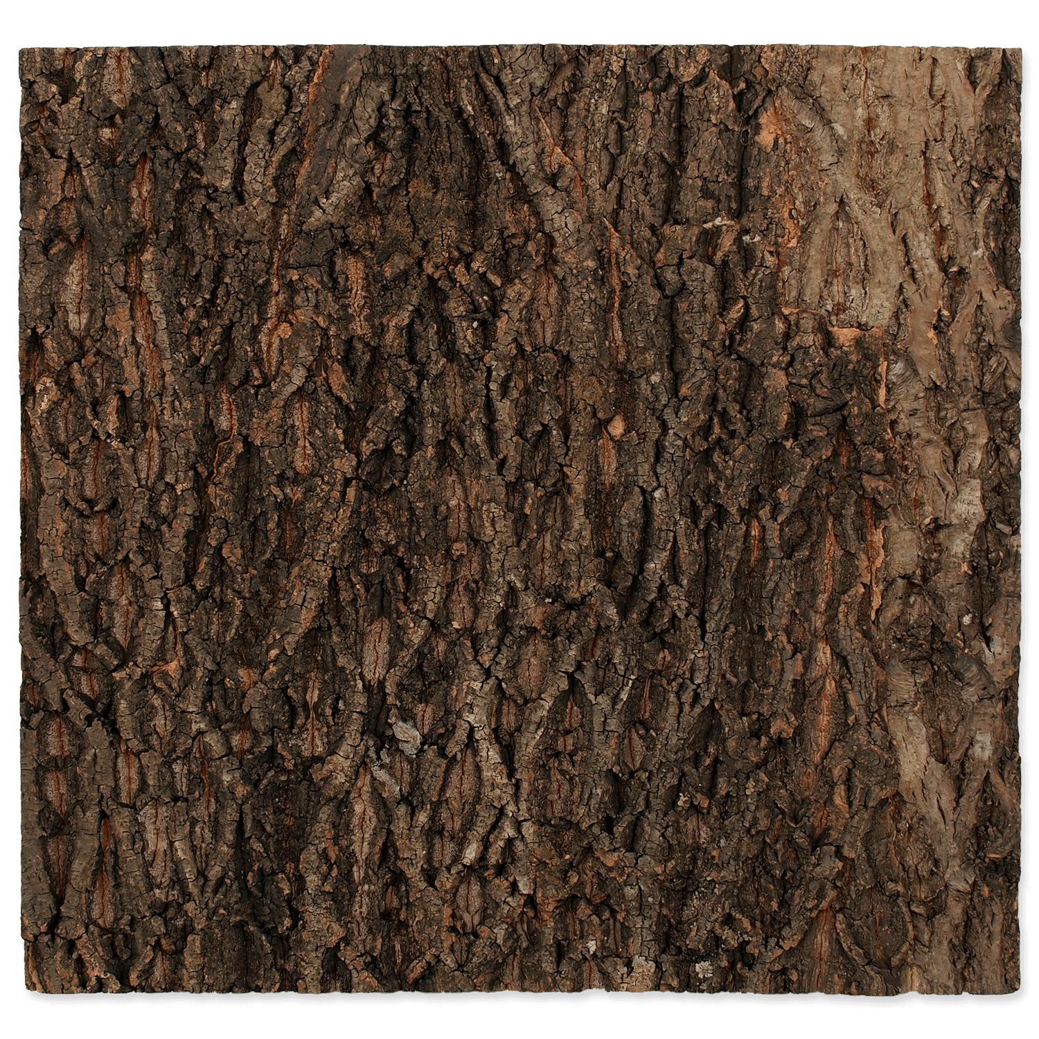 Repti Cork Background 58,5x56x2 ReptileManiacs