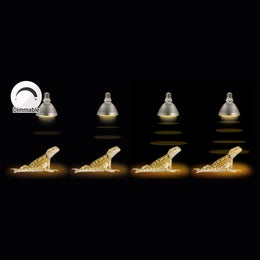 Reptile Systems - Eco Halogen 25W