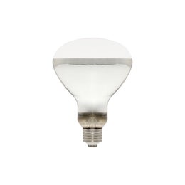 Reptile Systems - Mercury Vapor 100W