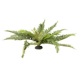 Terra Della - Green Fern XL