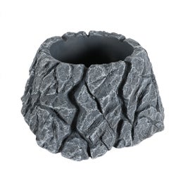 Terra Della - Golliwoog Rock