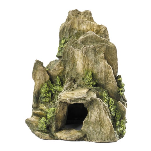 Aqua Della - Stone With Moss