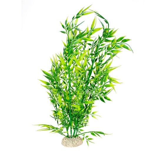 Aqua Della - Bamboo plant XL