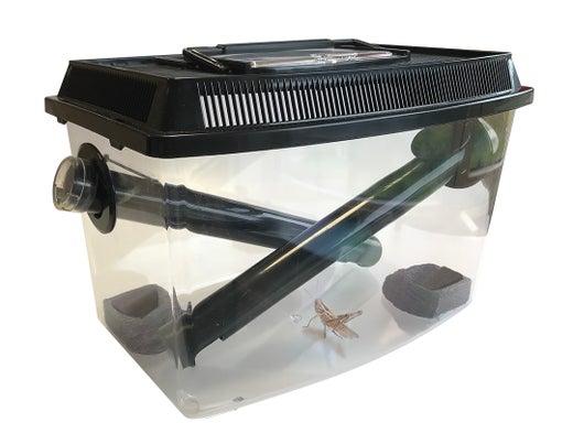 Terra Della - Cricket Tank