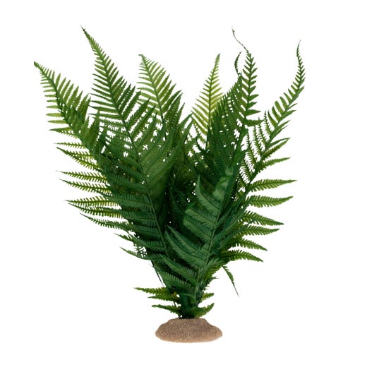 Terra Della - Green Fern L