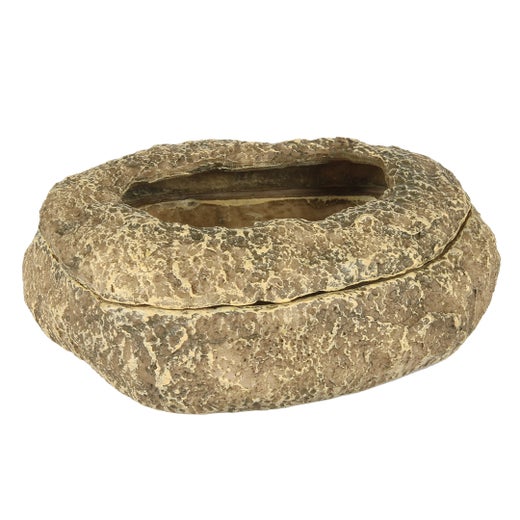 Terra Della - Mealworm Dish