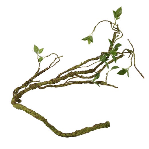 Terra Della - Plant Branch, thick
